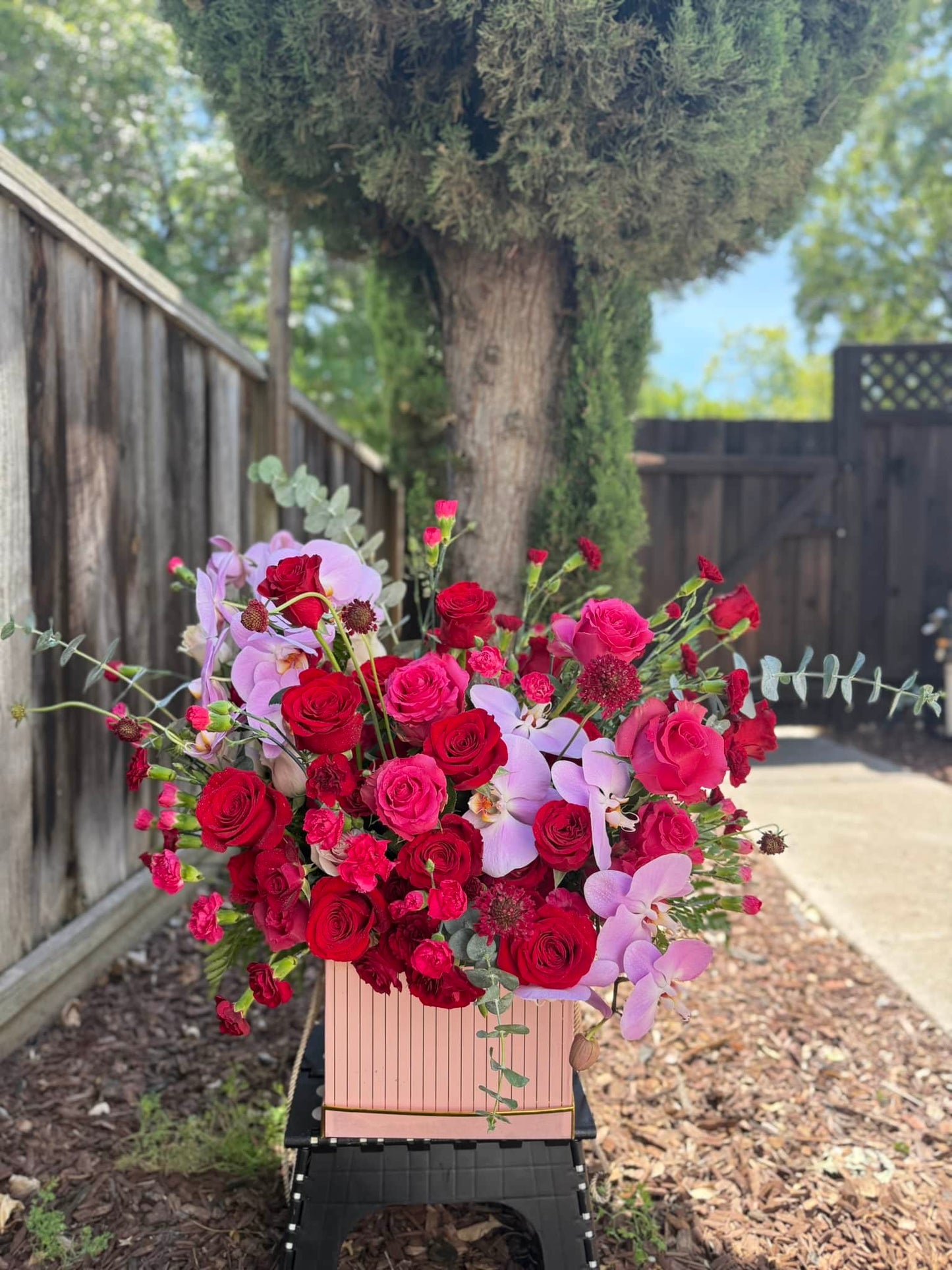 The Scarlet Bloom