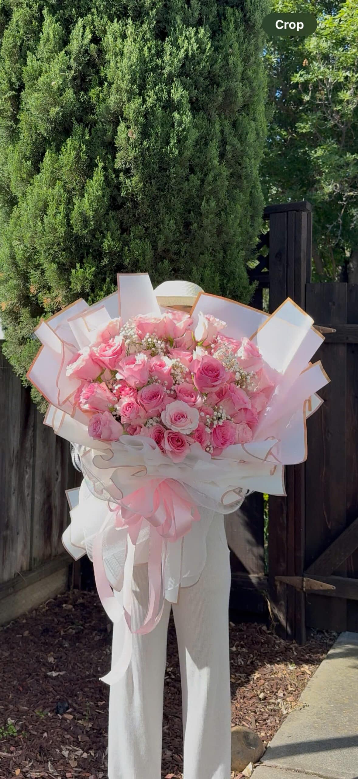 The Pink Serenity I
