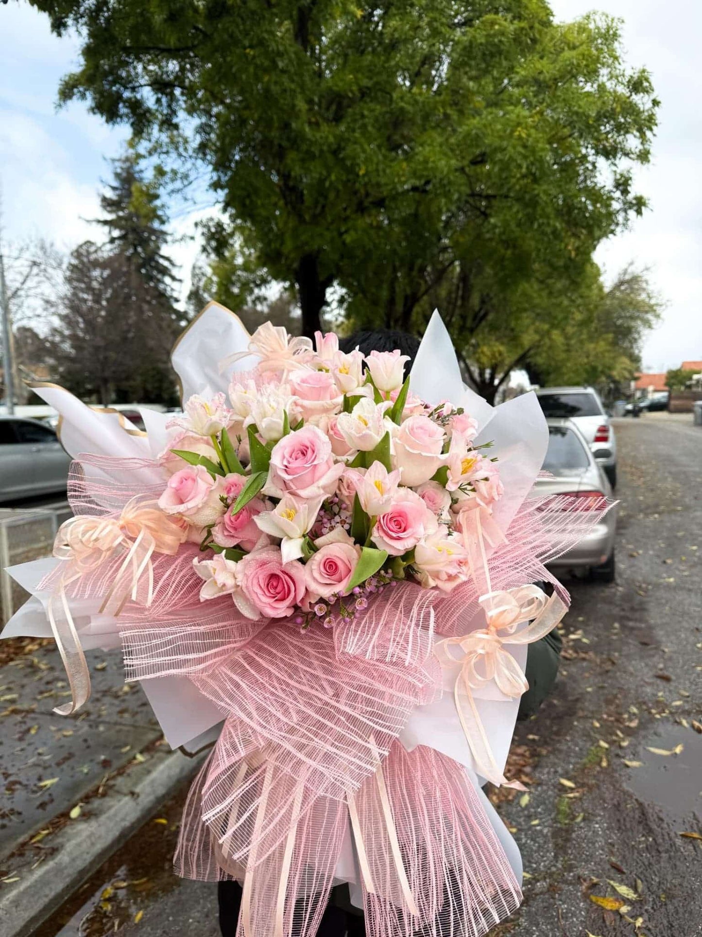 The Blush Garden II