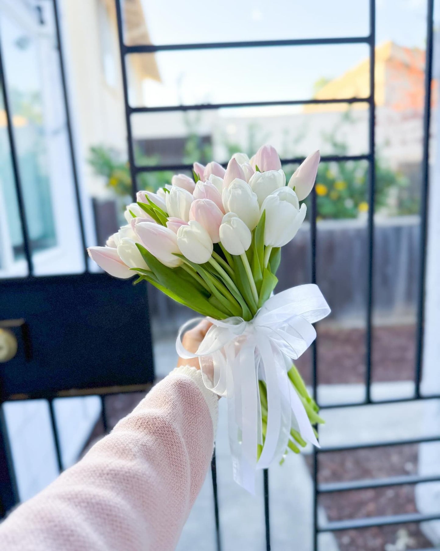 The Blush Tulip