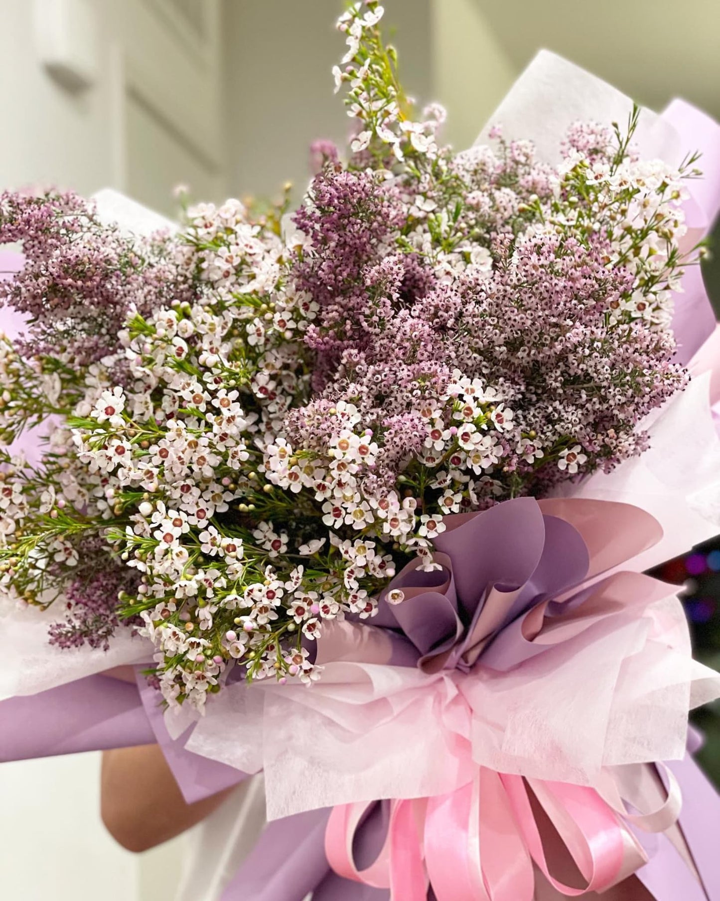 The Lavender Whisper