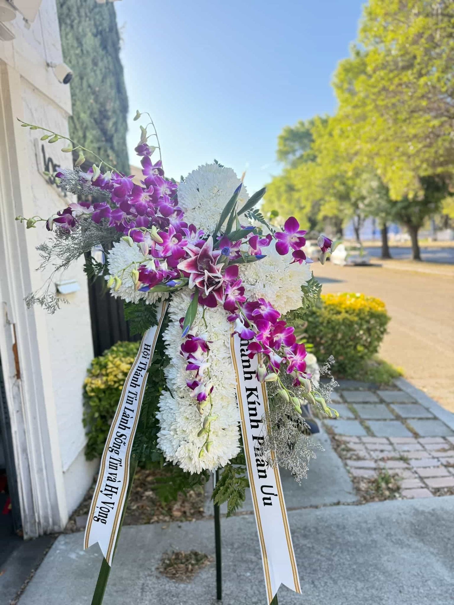 The Orchid Cross
