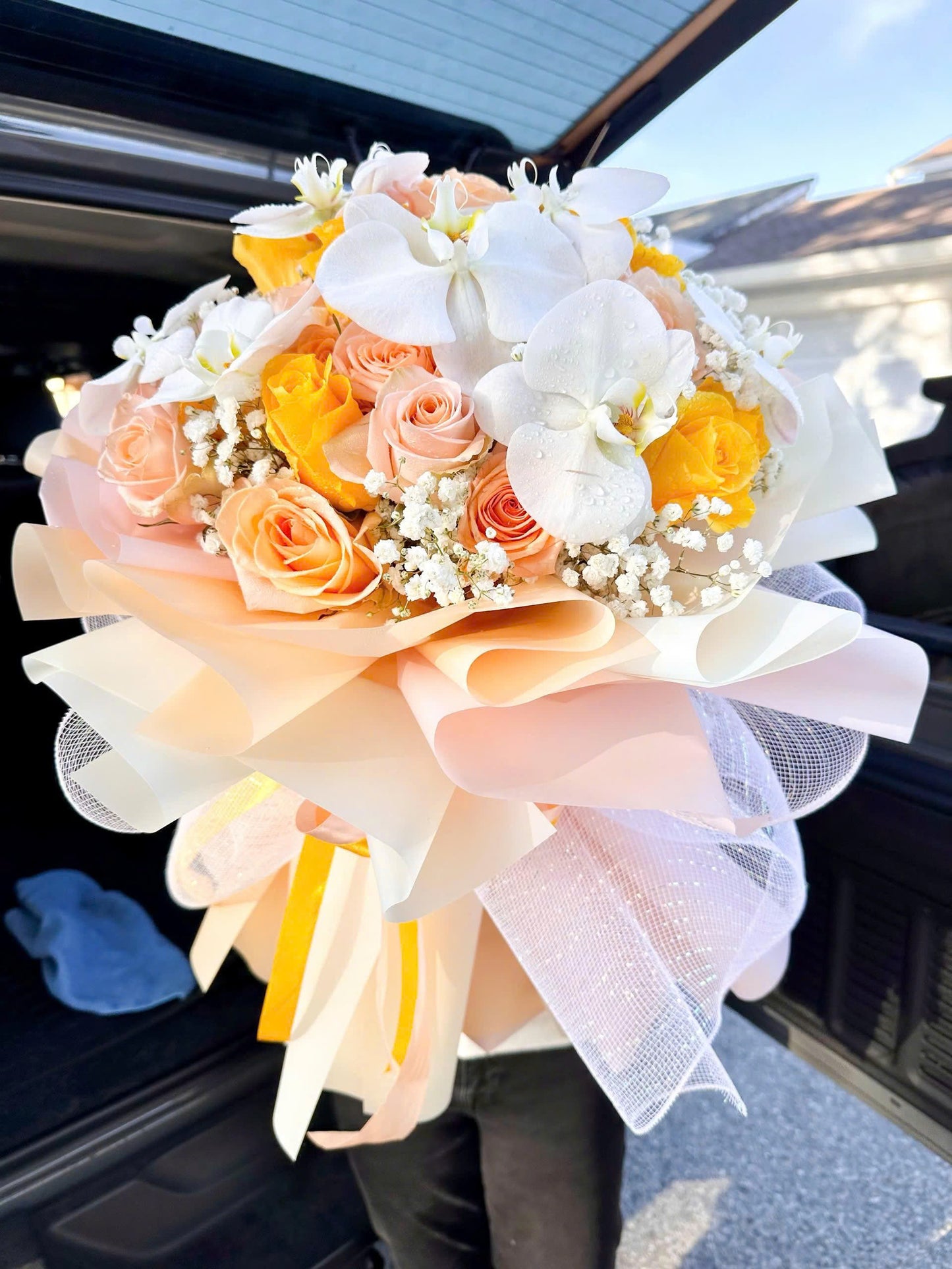 The Peach Radiance