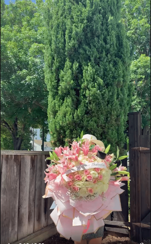 The Graduate’s Pink Promise