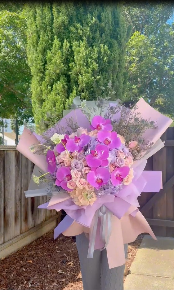 The Orchid Blush Symphony